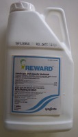 Reward.jpg